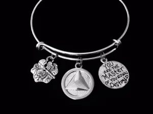 AA Recovery Jewelry Alcoholics Anonymous Adjustable Charm Bracelet Dragonfly Silver Expandable Wire Bangle One Size Fits All Gift