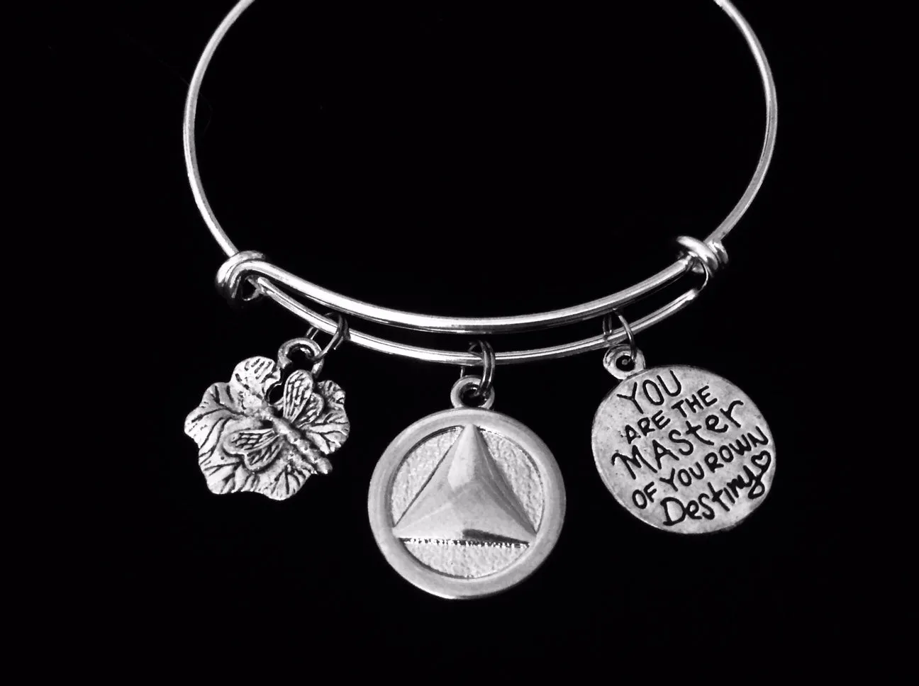 AA Recovery Jewelry Alcoholics Anonymous Adjustable Charm Bracelet Dragonfly Silver Expandable Wire Bangle One Size Fits All Gift