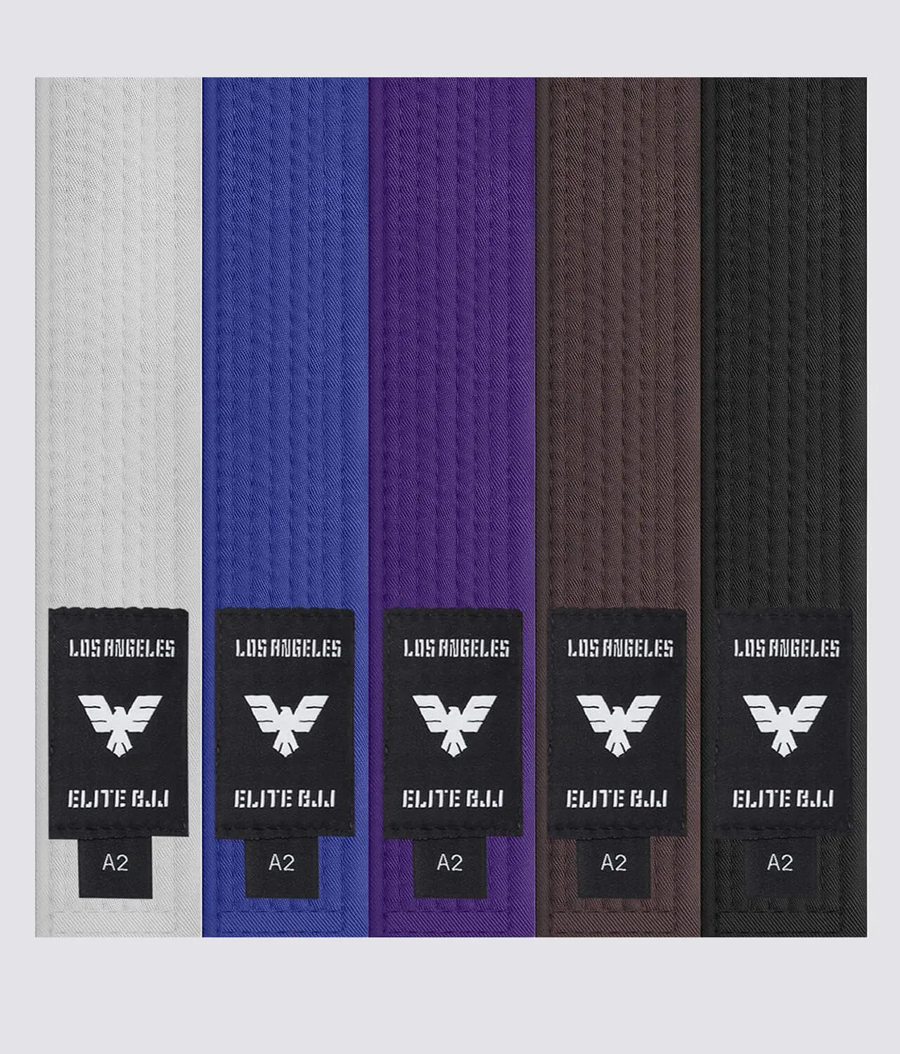 Adults' Brazilian Jiu Jitsu BJJ Black Belt