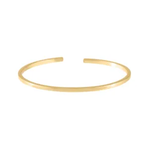 Bangle snake