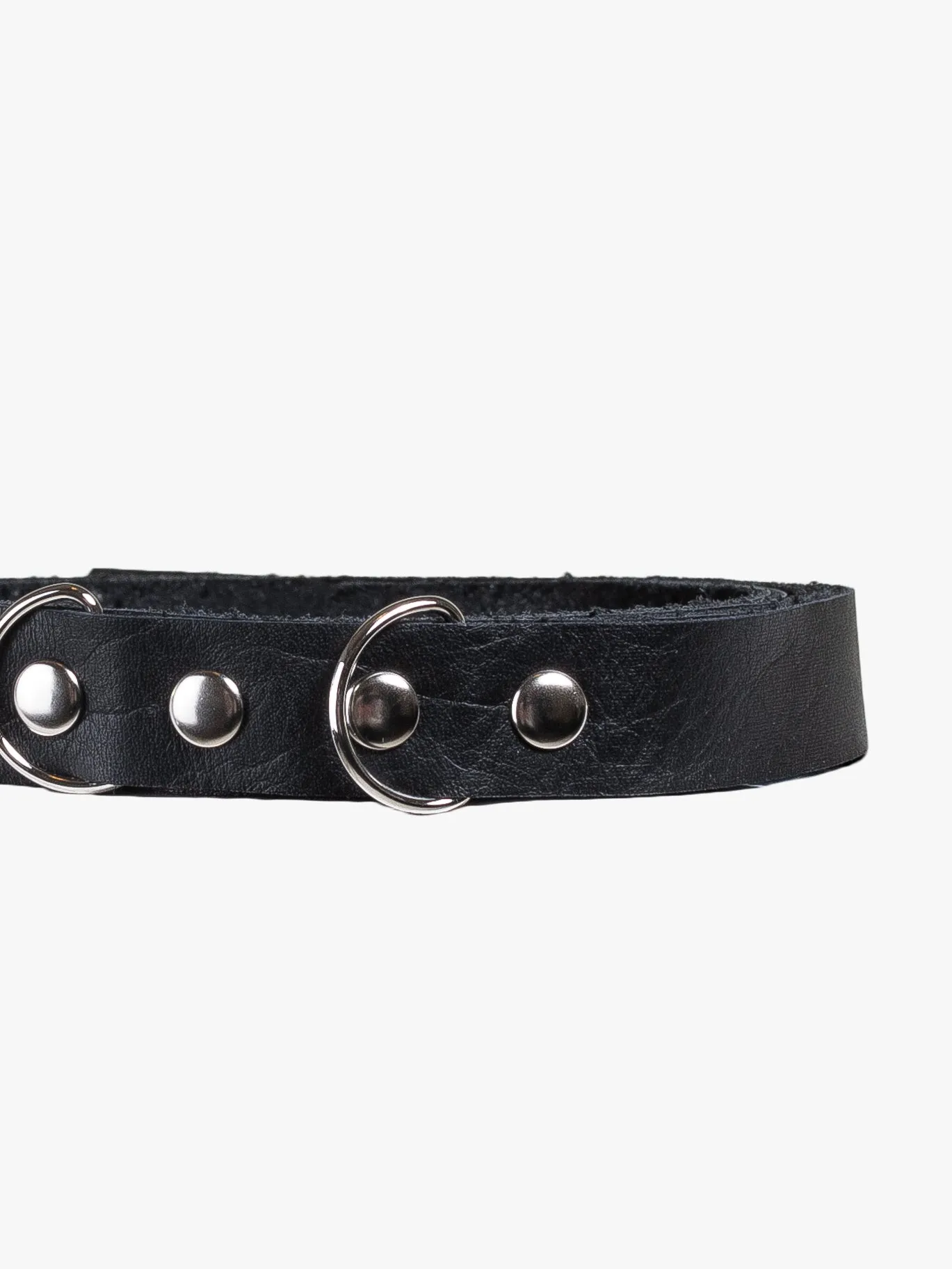 Double Buckle Belt