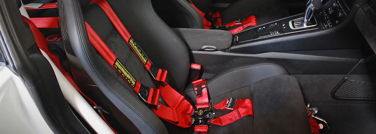Schroth Flexi 2x2 Racing Harness