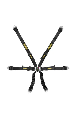 Schroth Flexi 2x2 Racing Harness