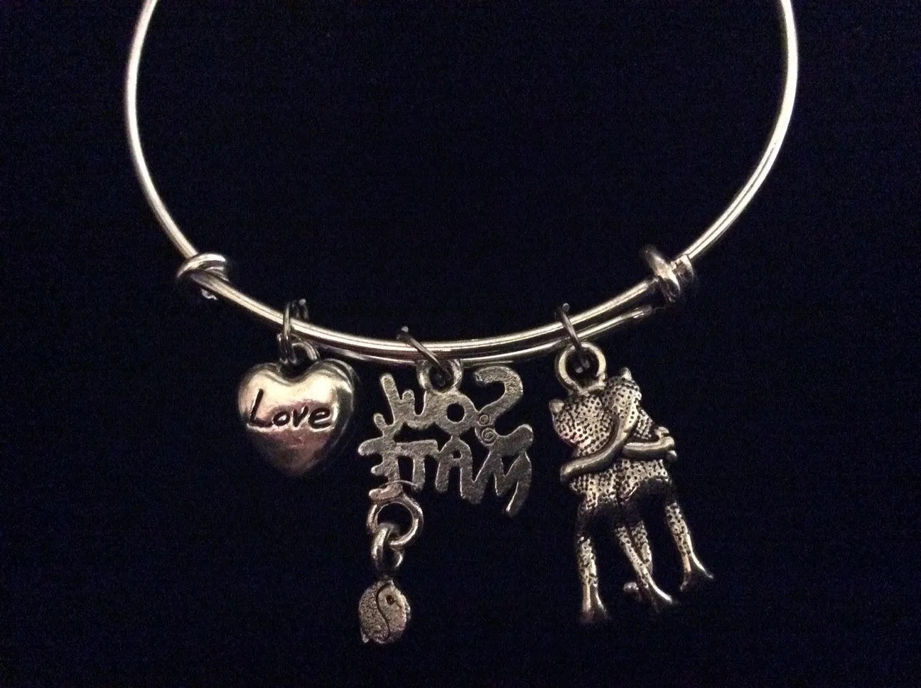 Soul Mate with Frogs and a Love Heart Expandable Charm Bracelet Adjustable Bangle Trendy Gift