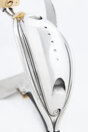 The Dome chastity shield only