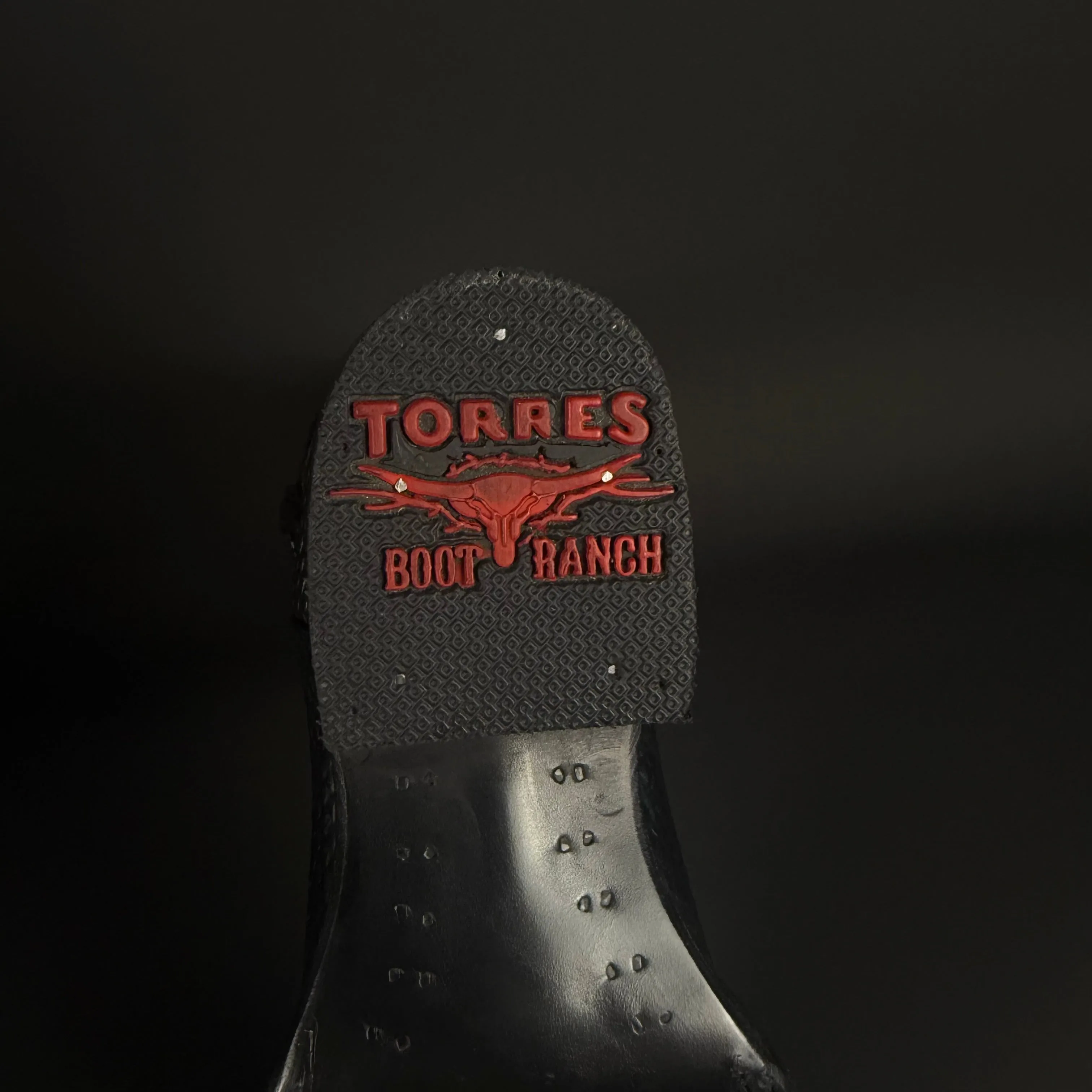Torres Boot Ranch - Python Print - Black/Acua